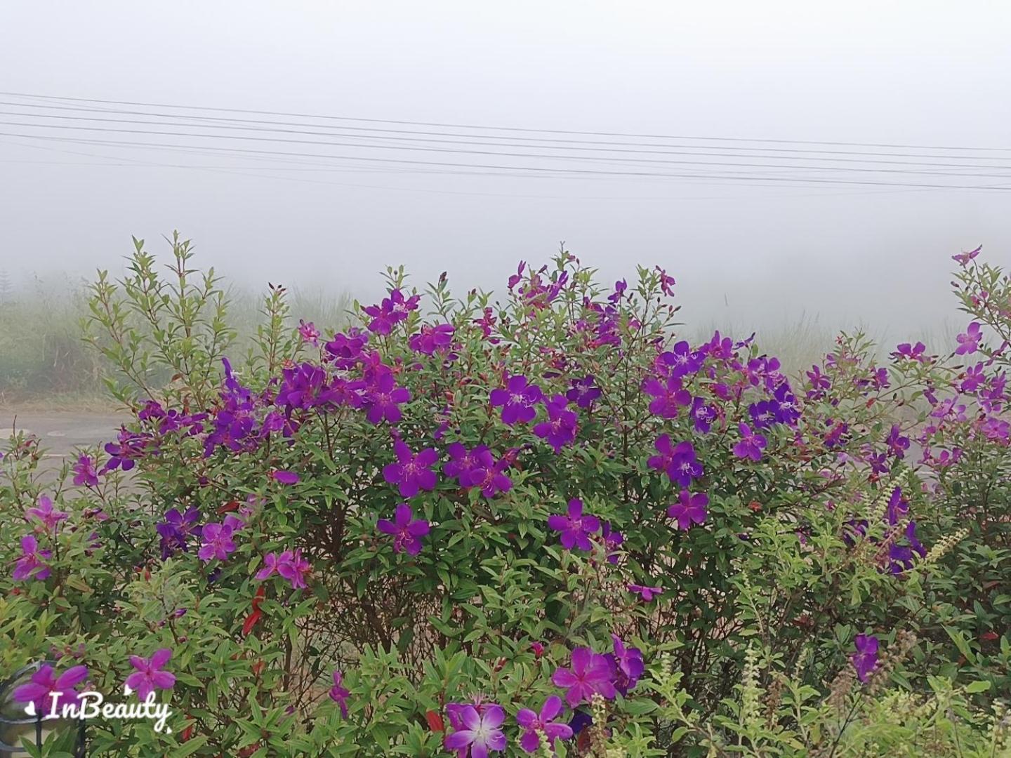 เฟรนด์แคมป์ Villa Khao Kho Exteriör bild